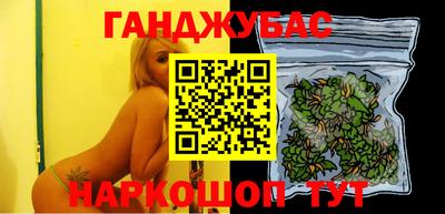 сатива Кузнецк