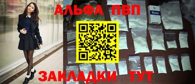 сатива Кузнецк