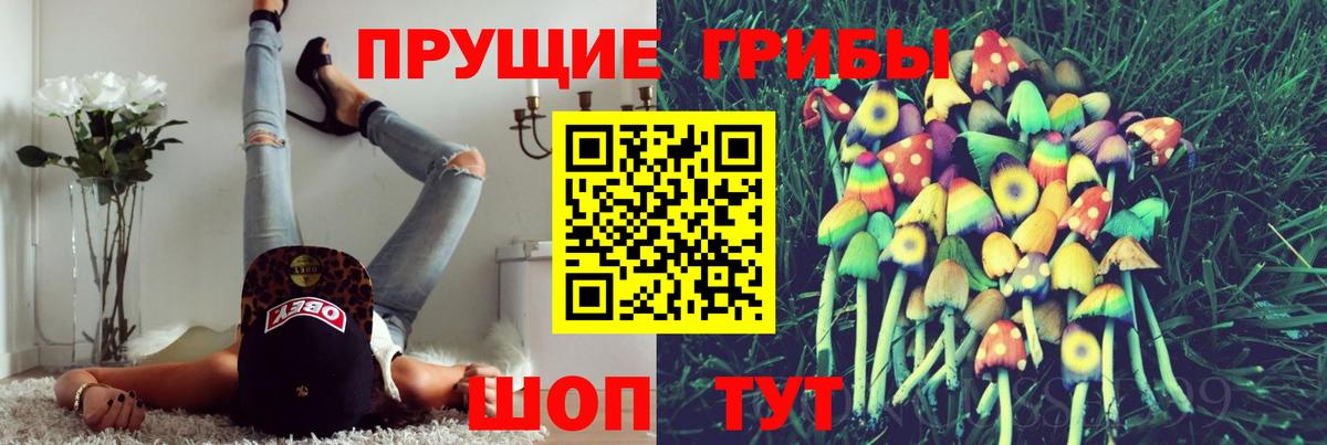 Псилоцибиновые грибы Psilocybine cubensis  Вход с VPN  Галлюциногенные грибы мухоморы  Железноводск 