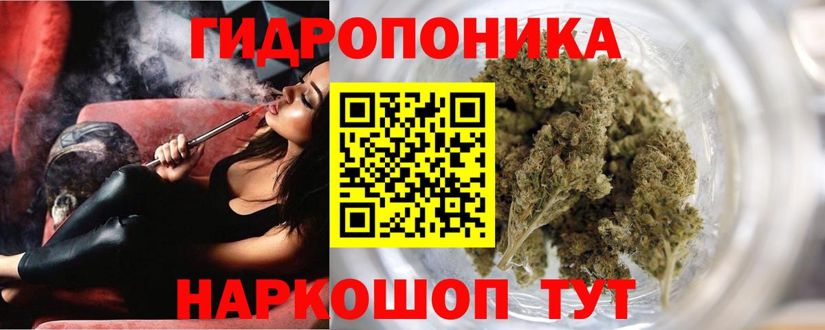 Шишки марихуана конопля  Шишки марихуана конопля  Вход с VPN  Железноводск  Шишки марихуана сатива 